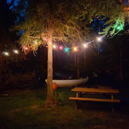 Bakkakot 3 Cozy Cabin In The Woods Akureyri Zewnętrze zdjęcie