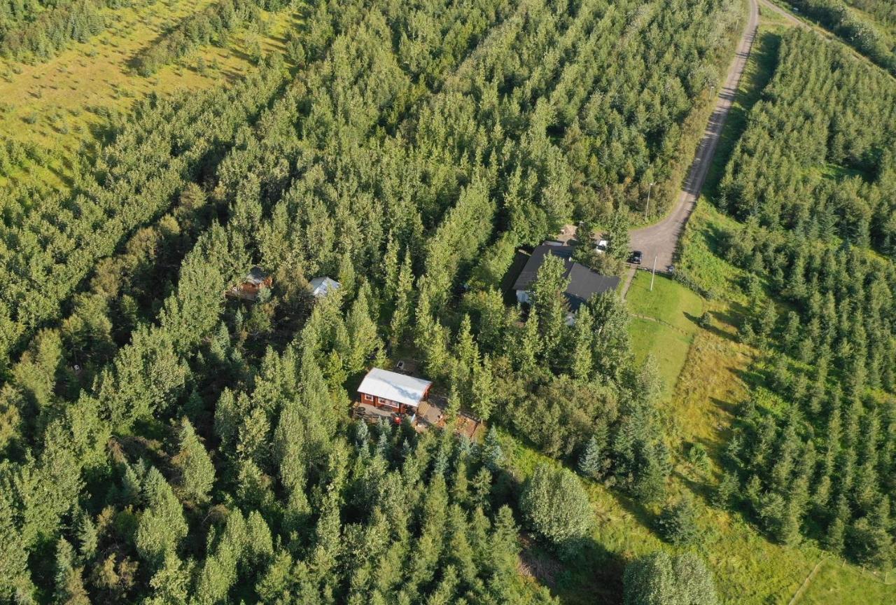 Bakkakot 3 Cozy Cabin In The Woods Akureyri Zewnętrze zdjęcie