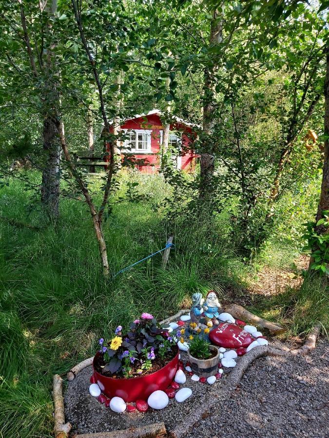 Bakkakot 3 Cozy Cabin In The Woods Akureyri Zewnętrze zdjęcie