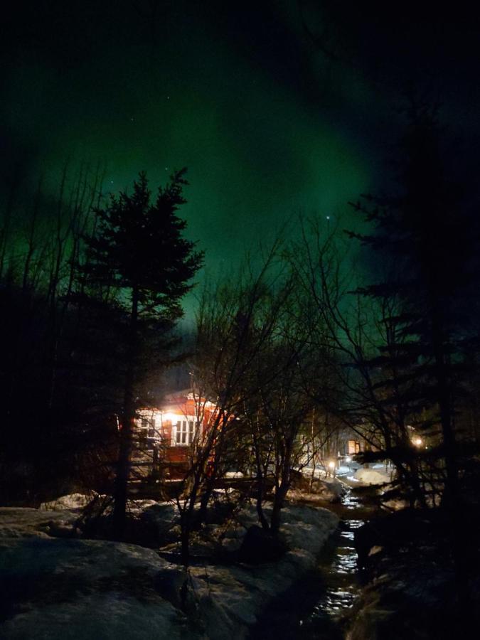 Bakkakot 3 Cozy Cabin In The Woods Akureyri Zewnętrze zdjęcie