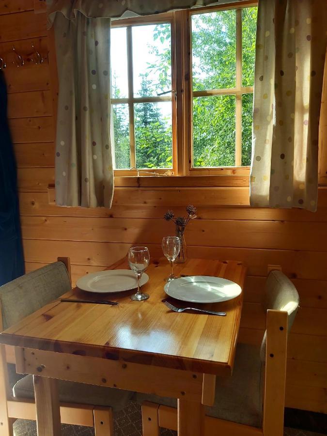 Bakkakot 3 Cozy Cabin In The Woods Akureyri Zewnętrze zdjęcie