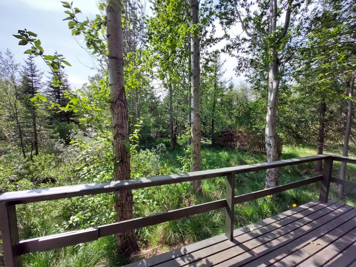 Bakkakot 3 Cozy Cabin In The Woods Akureyri Zewnętrze zdjęcie